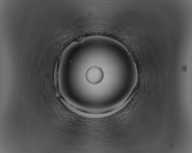 X0000093610769200710221606