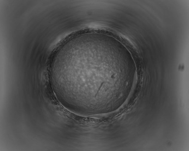 X0000093610776200710221606
