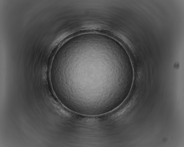 X0000093610778200710221606