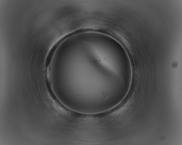 X0000093610779200710221606
