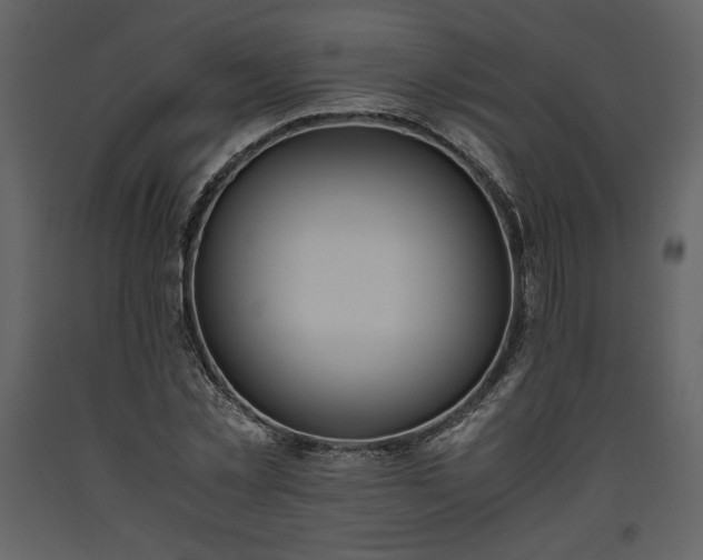 X0000093610781200710221606