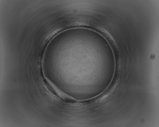 X0000093610785200710221606