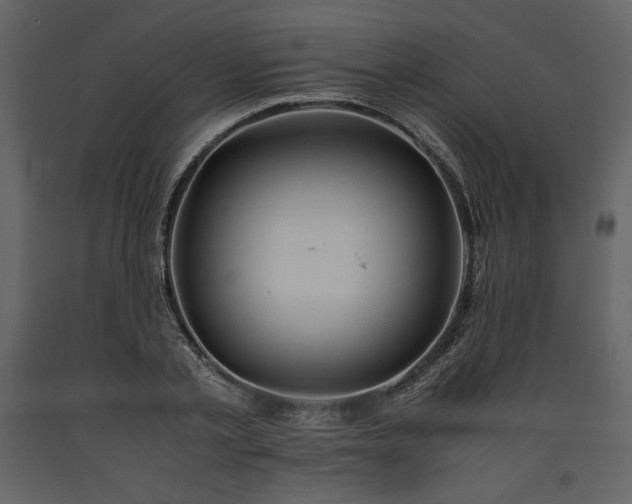 X0000093610789200710221606