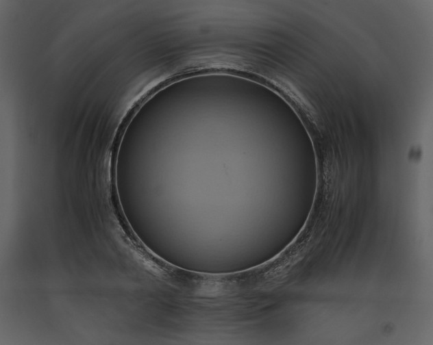 X0000093610790200710221606