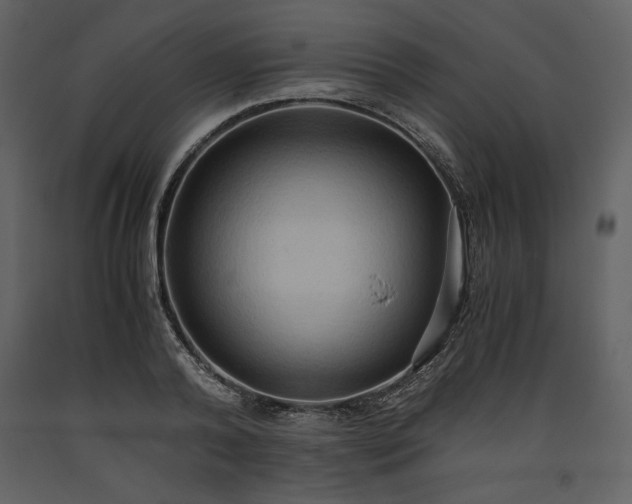 X0000093610792200710221606