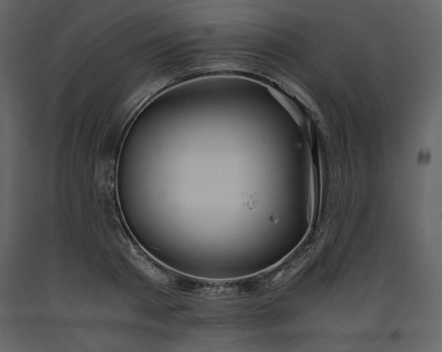 X0000093610793200710221606
