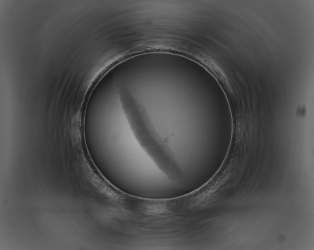 X0000093610798200710221606