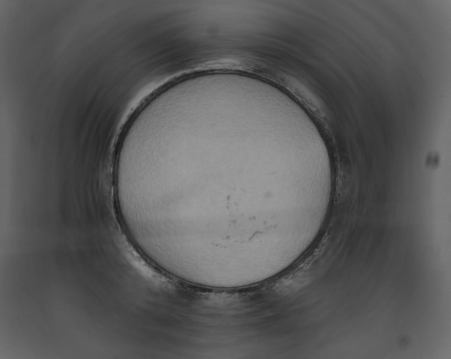 X0000093610800200710221606