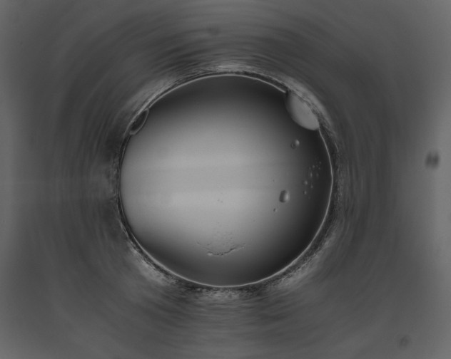X0000093610801200710221606