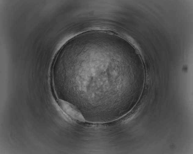 X0000093610803200710221606