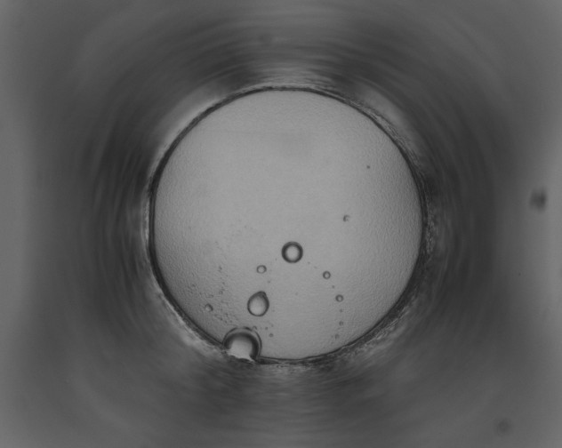 X0000093610804200710221606