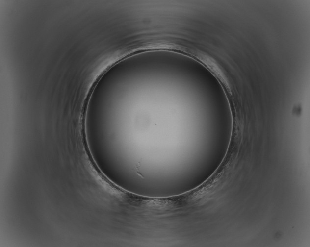 X0000093610805200710221606