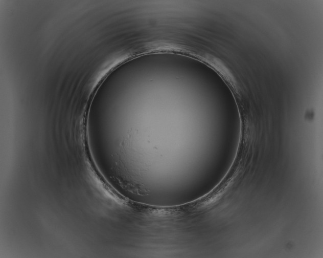 X0000093610806200710221606