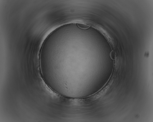 X0000093610808200710221606