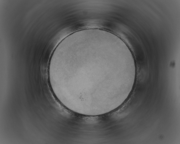 X0000093610810200710221606