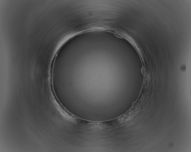 X0000093610811200710221606