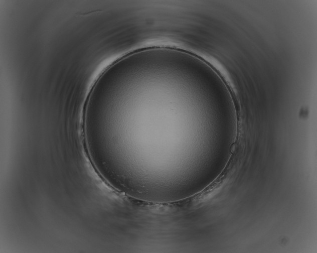 X0000093610815200710221606