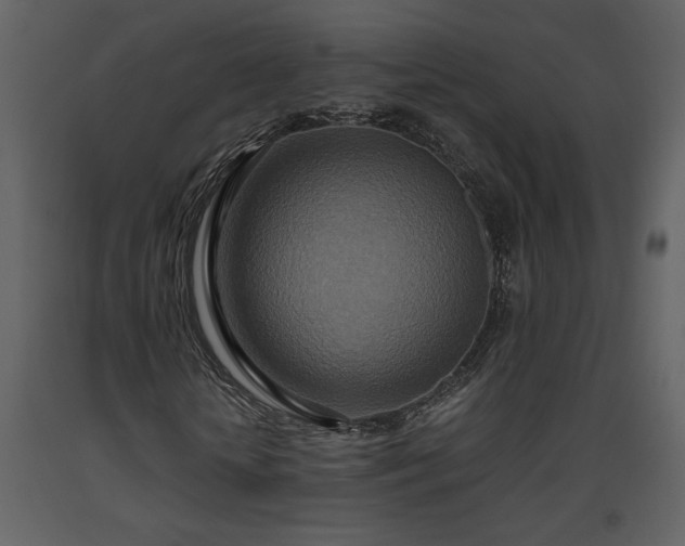 X0000093610818200710221605