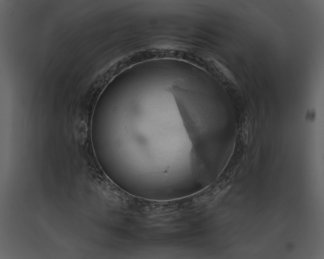 X0000093610821200710221605