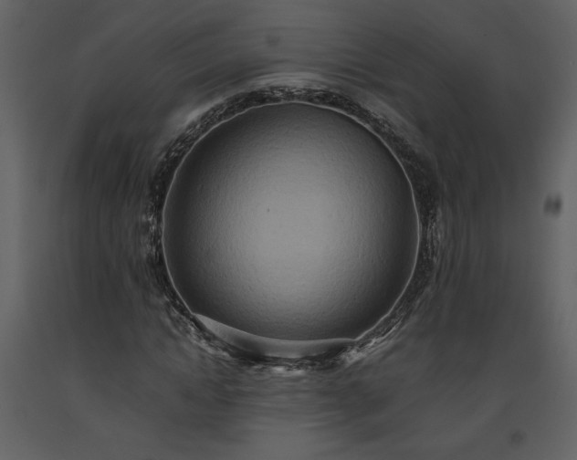 X0000093610822200710221605