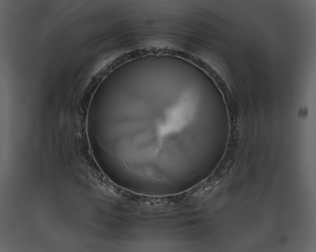 X0000093610823200710221605