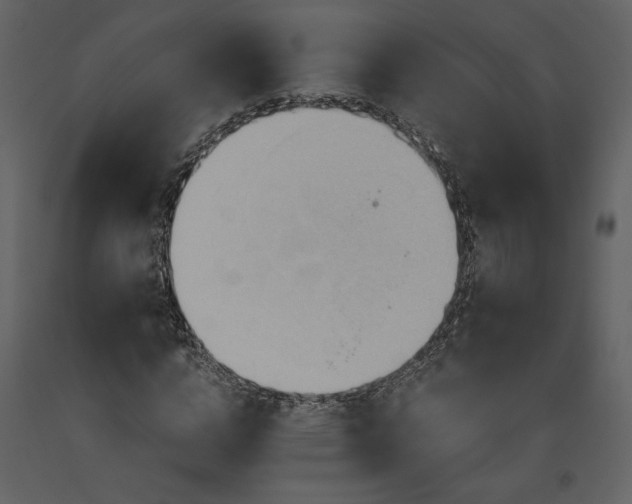 X0000093610824200710221605