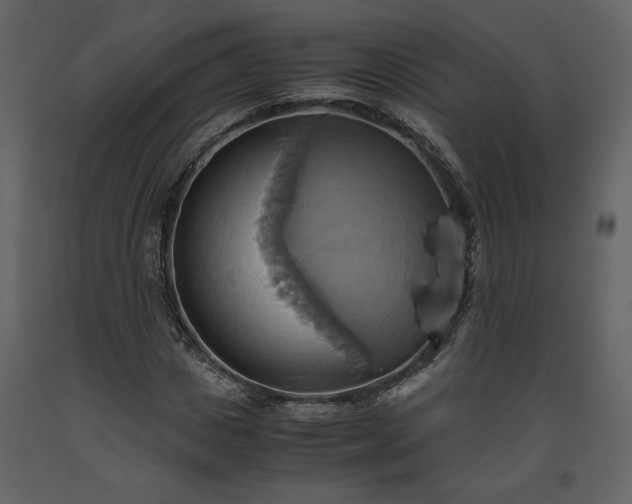 X0000093610825200710221605