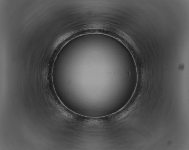 X0000093610826200710221605