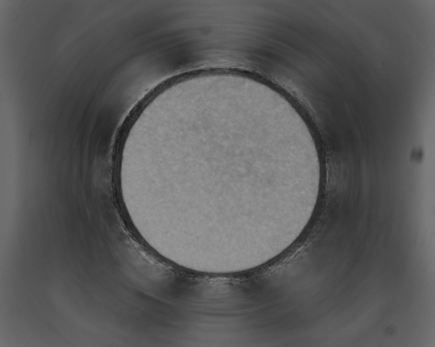 X0000093610828200710221605