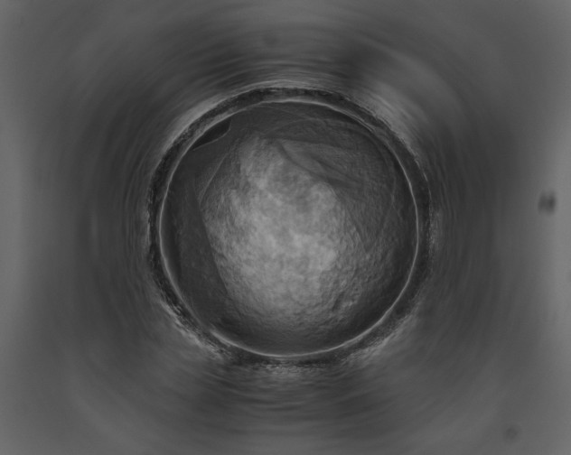 X0000093610829200710221605