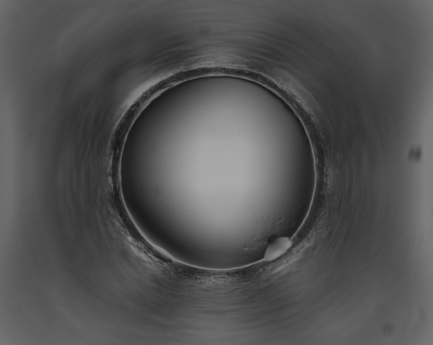 X0000093610830200710221605