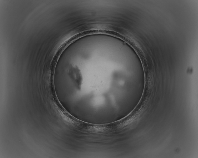 X0000093610831200710221605