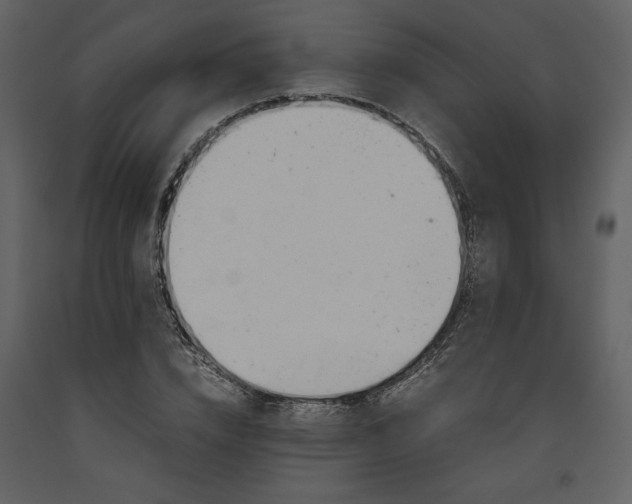 X0000093610832200710221605