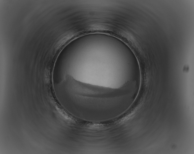 X0000093610833200710221605