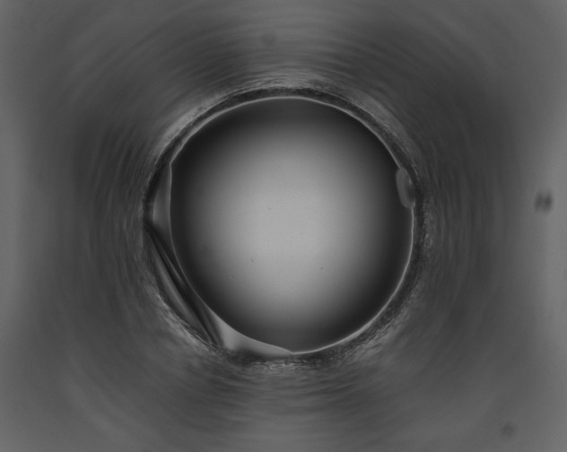 X0000093610834200710221605