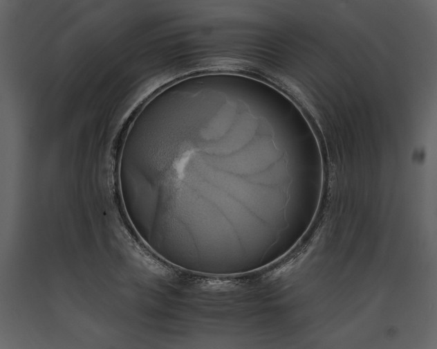 X0000093610835200710221605