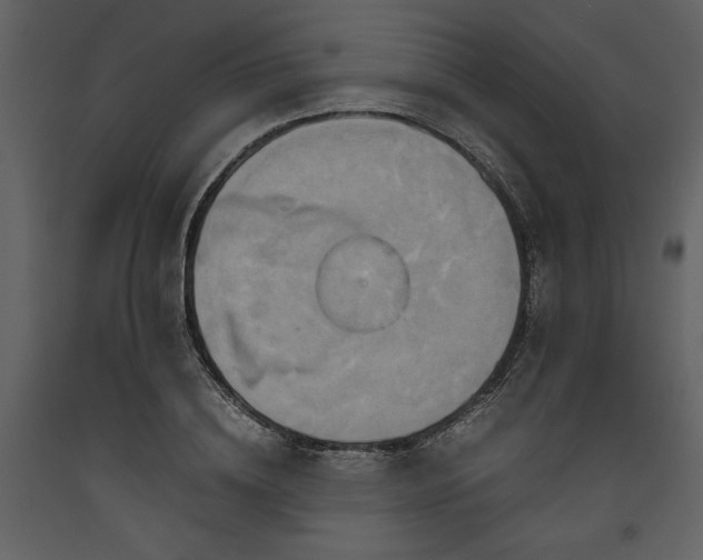 X0000093610836200710221605