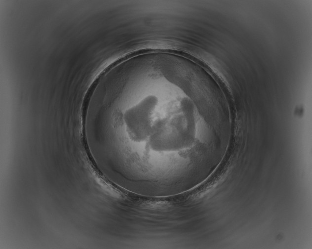 X0000093610837200710221605