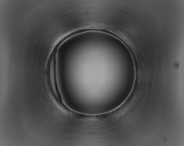 X0000093610838200710221605