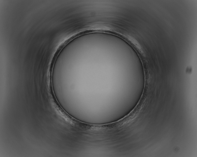 X0000093610840200710221605