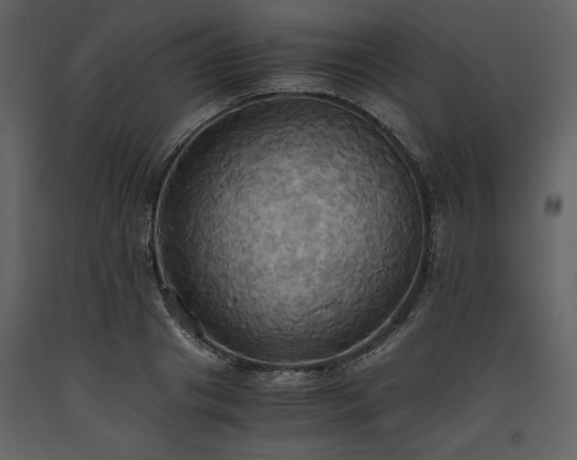 X0000093610841200710221605