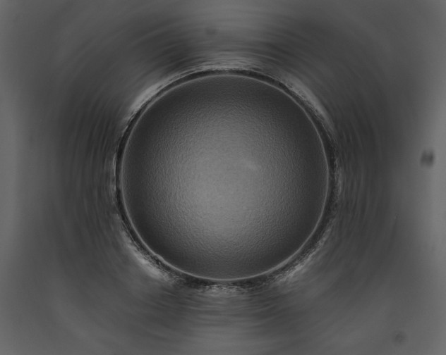 X0000093610842200710221605
