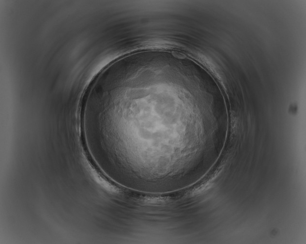X0000093610843200710221605