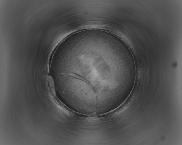 X0000093610844200710221605