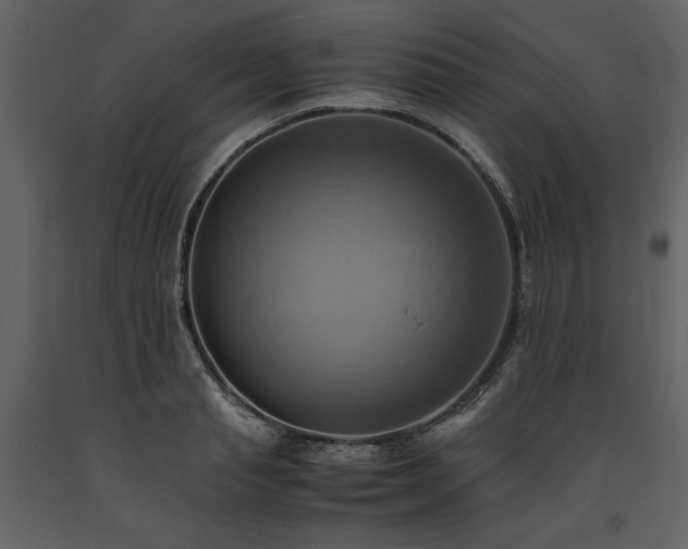 X0000093610845200710221605