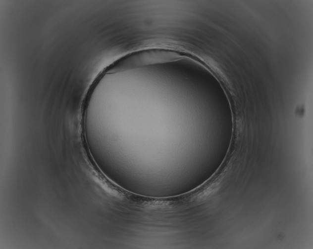 X0000093610846200710221605