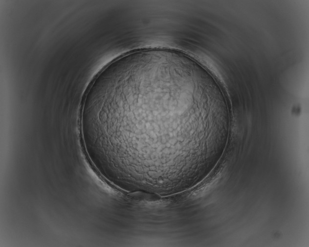 X0000093610847200710221605