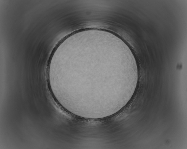 X0000093610848200710221605