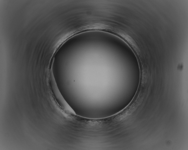 X0000093610850200710221605