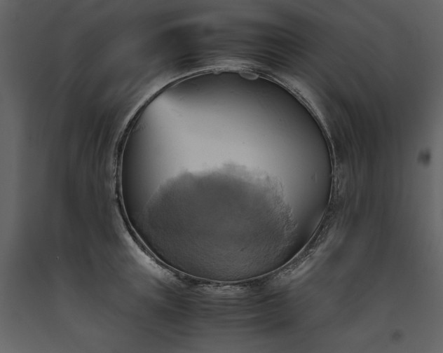 X0000093610851200710221605